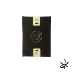 Limon blanco feminized x6 - khalifa Genetics - graines CBD et graines de collection
