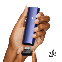 Vaporisateur CBD "PAX Plus Periwinkle" Kit Complet - Pax