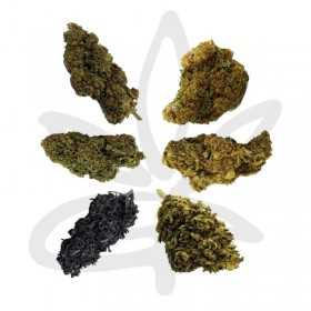 Mix Fleur CBD