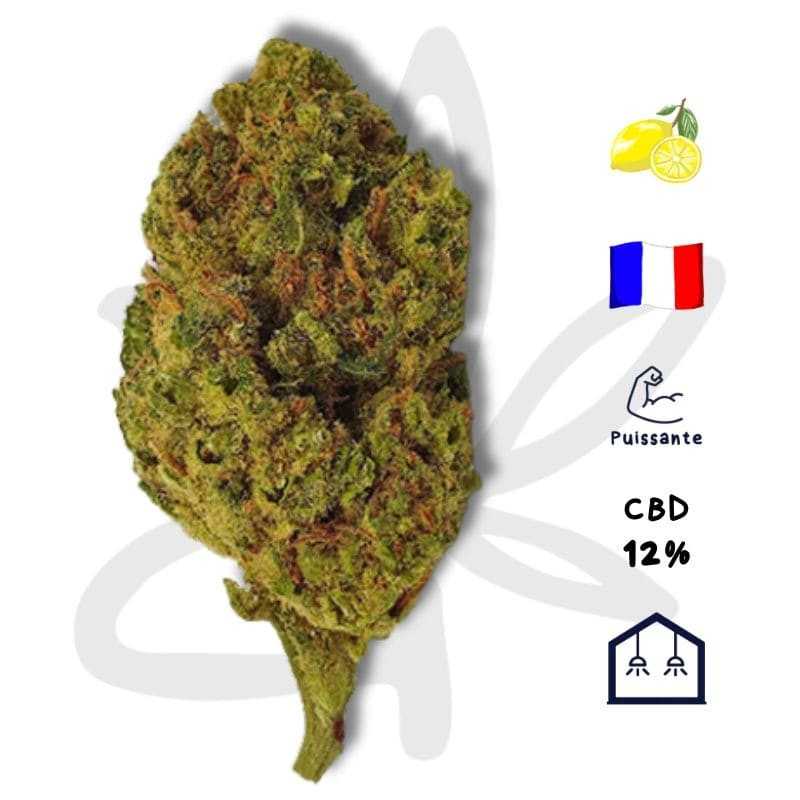 🥦💯 Gardenz Kush CBD - Fleur de CBD - Gardenz CBD Shop 💯🥦