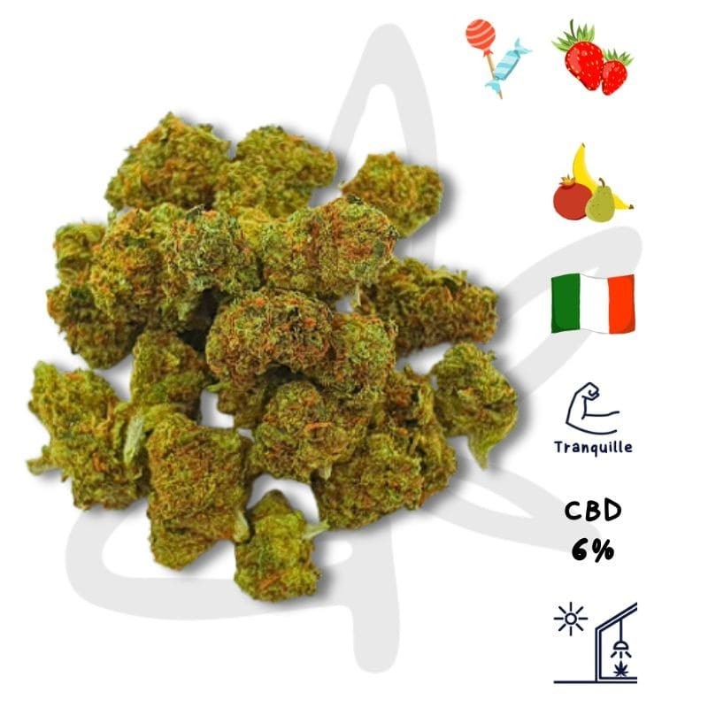 🥦🍓 Pop Corn CBD - Fleur de CBD - Gardenz CBD Shop 🍓🥦