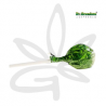 🌿🍭 Sucette au cannabis Hemperium original - Gardenz CBD Shop 🍭🌿
