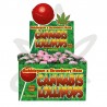 🌿🍭Sucette au cannabis BubblegumxStrawberry Haze - Gardenz CBD Shop🍭🌿