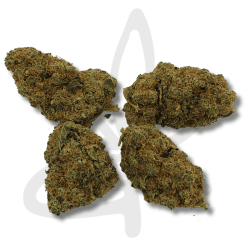 Variété Fleur CBD Blueberry