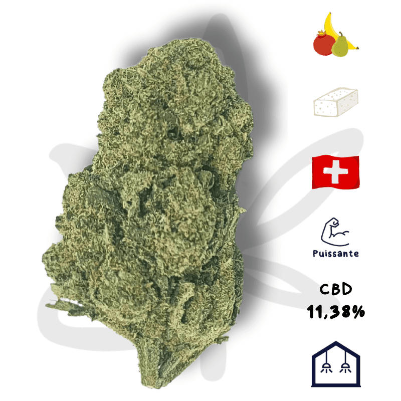 😋🌿Harlequin CBD - Fleur de CBD - Gardenz CBD Shop😋🌿 😋🌿Harlequin CBD - Fleur de CBD - Gardenz CBD Shop😋🌿