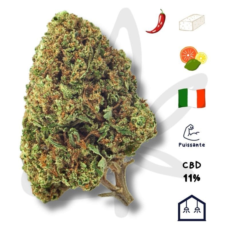 🌿💨 Amnesia CBD - Fleur de CBD - Gardenz CBD Shop 💨🌿 🌿💨 Amnesia CBD - Fleur de CBD - Gardenz CBD Shop 💨🌿