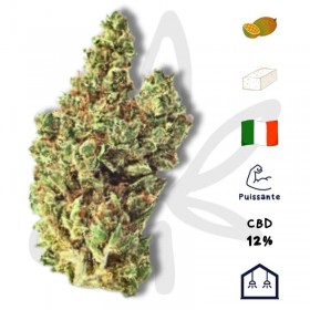 Super Lemon Haze CBD