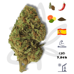 OG Kush CBD - Fleur de...