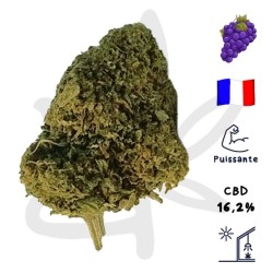 Queen Catherine CBD - Fleur...