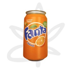 Fausse Canette planque - Stash Can