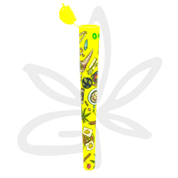 Tube à joint Amsterdam "Picnic jaune" 12.5cm - G-Rollz