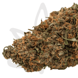 Variété Fleur CBD Amethys - Canebiera