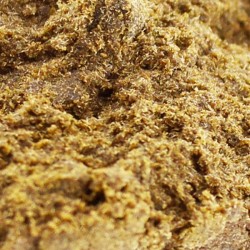 Résine H3 Petrol potion