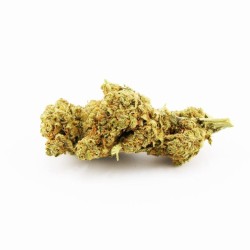 Amnesia Hydro CBD - Fleur...