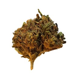 Skywalker OG H3 - Fleurs de H3