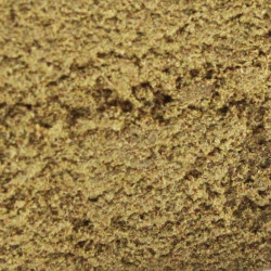 Résine h3 turbo Alien Poison