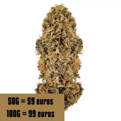 Fleur CBD Pink panther