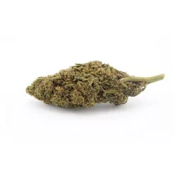 Fleur CBC 5% Jalouse