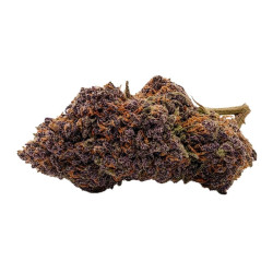 Fleur H3 turbo 12% CBD Blue Zushi Glass House France