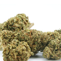 Fleur H3 Turbo Lemon Octane