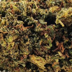 Fleur H3 Turbo Lemon Octane