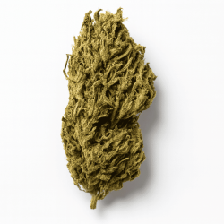 Fleur CBD Lemon Auto