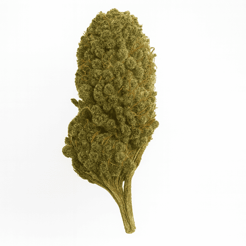 Fleur CBD Bubble Gum