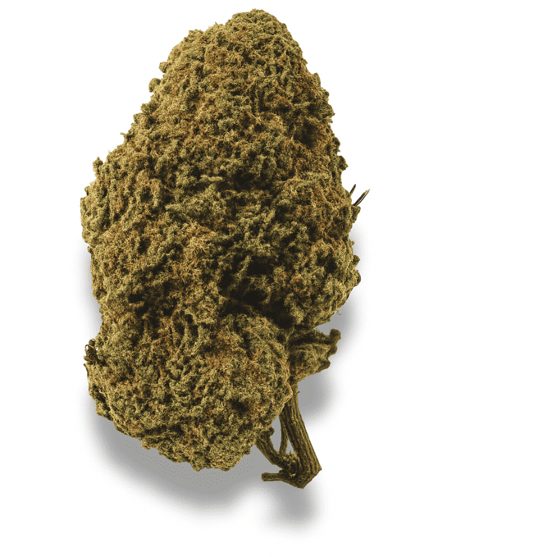 Fleur CBD Bruce Banner