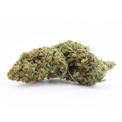 Fleur CBD Mandarine kush US