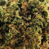 Fleur CBD Mandarine kush US