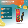 Vape T9HC - Euforic - 1ml - Canapuff