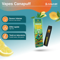 Vape T8HC - Jungle Monkey - 1ml - Canapuff