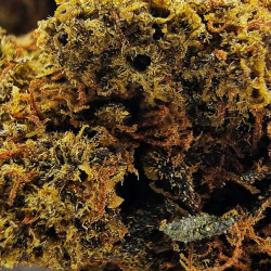 Fleur H3 Turbo - Zkittlez