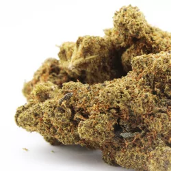 Fleur H3 Turbo - Zkittlez