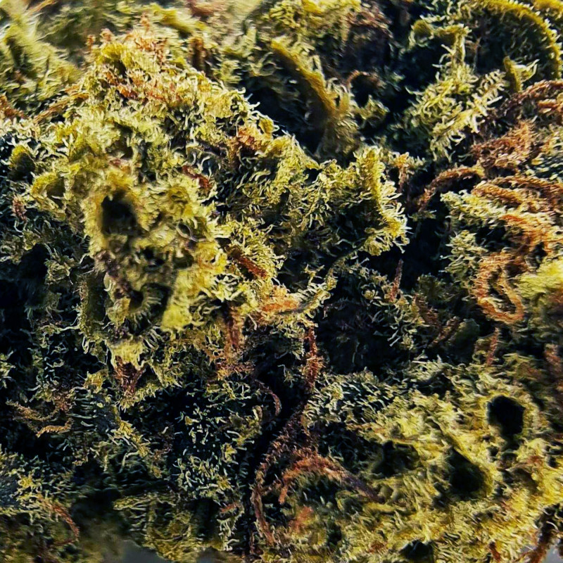 Fleur H3 Turbo - Alien OG