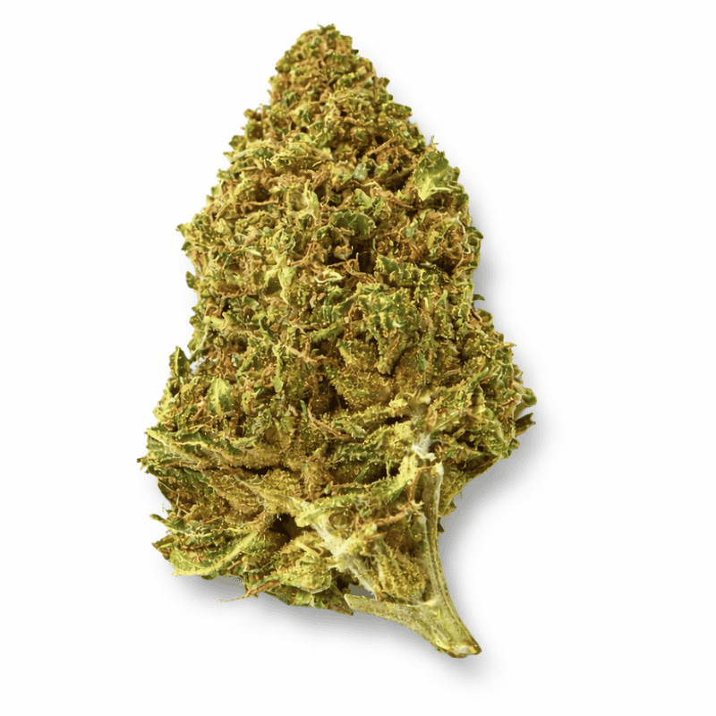 Variété Fleur CBD Tropical Punch