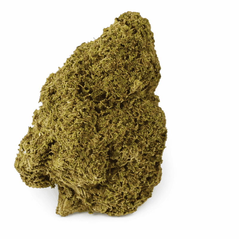 Variété Fleur CBD Gelato Cake