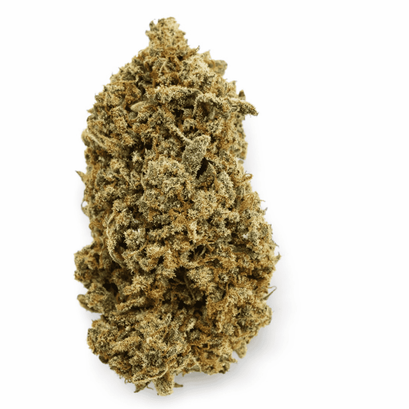 Variété Fleur CBD Sapphyre Kush