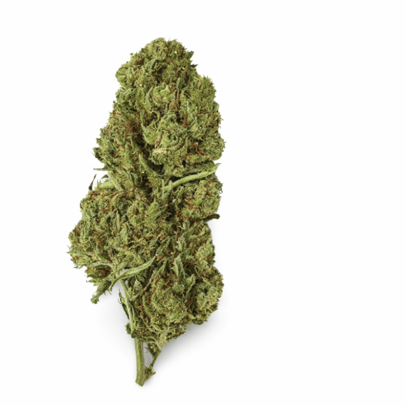 Variété Fleur CBD Mango Kush