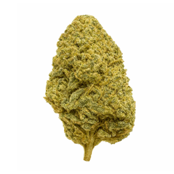 Variété Fleur CBD Forbidden Runtz