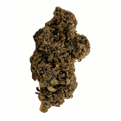 Variété Fleur CBD Amethys - Canebiera