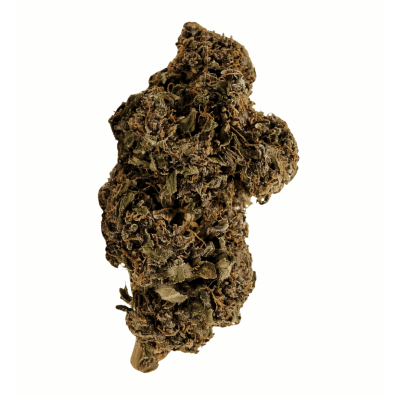 Variété Fleur CBD Amethys - Canebiera