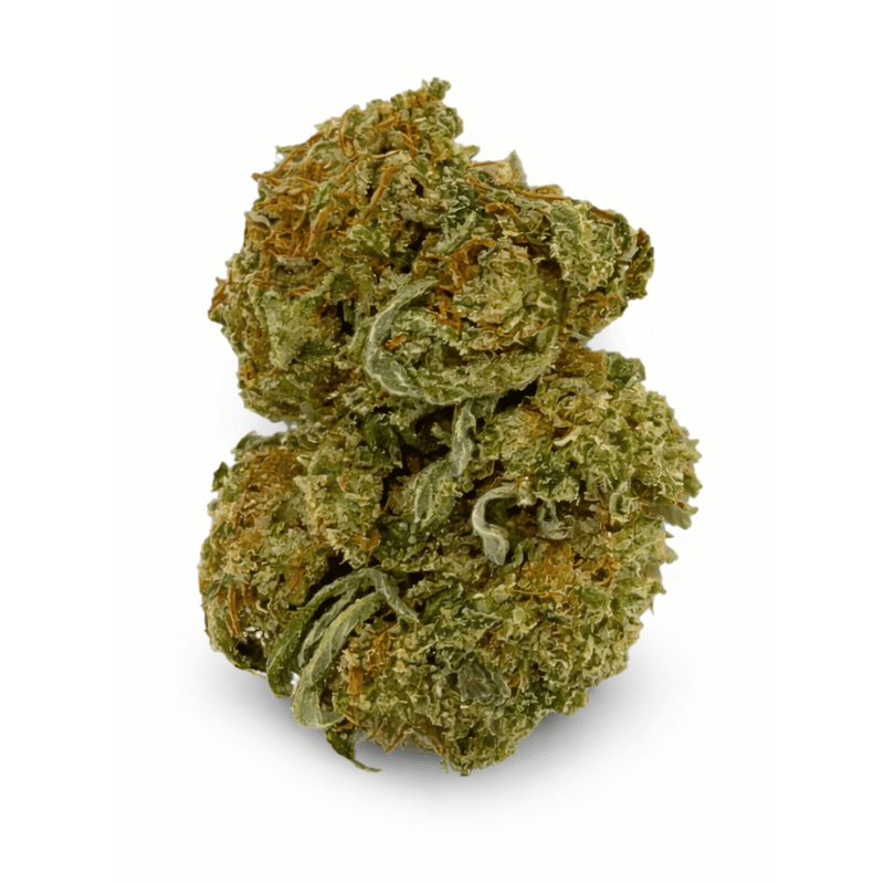 Variété Fleur CBD BZ Queen