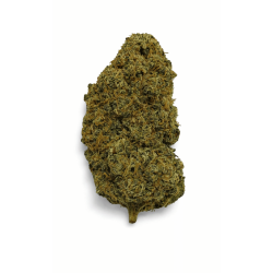 Variété Fleur CBD Blueberry