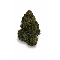 Variété Fleur CBD Tequila sunrise