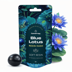 Ashwagandha (Withania Somnifera) 10g extrait pur 5% - Canntropy