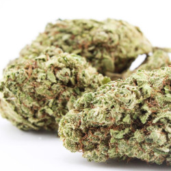 Permanent Marker fleur cbd