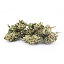 Sour Diesel - Small Buds - CBD