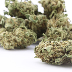 Sour Diesel - Small Buds - CBD