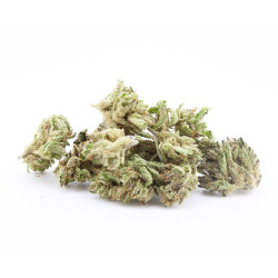 Veganic Zatomic US - Small Buds